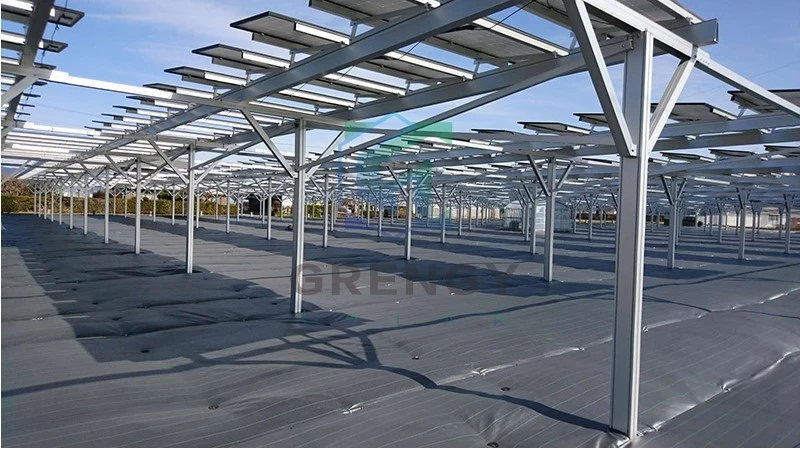 product-800-451